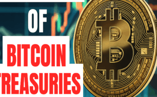 Bitcoin Treasury Companies