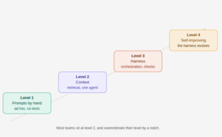 maturity model