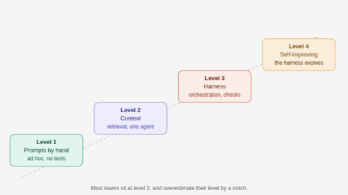 maturity model